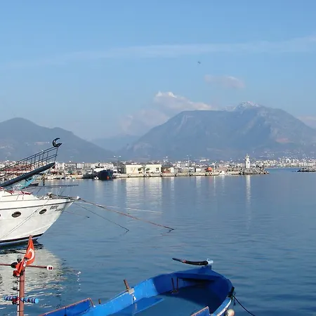 Besthome 20-1 Alanya